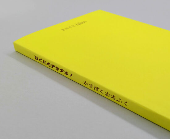 binder kiken gaiden3 ぼくたちアホアホ！