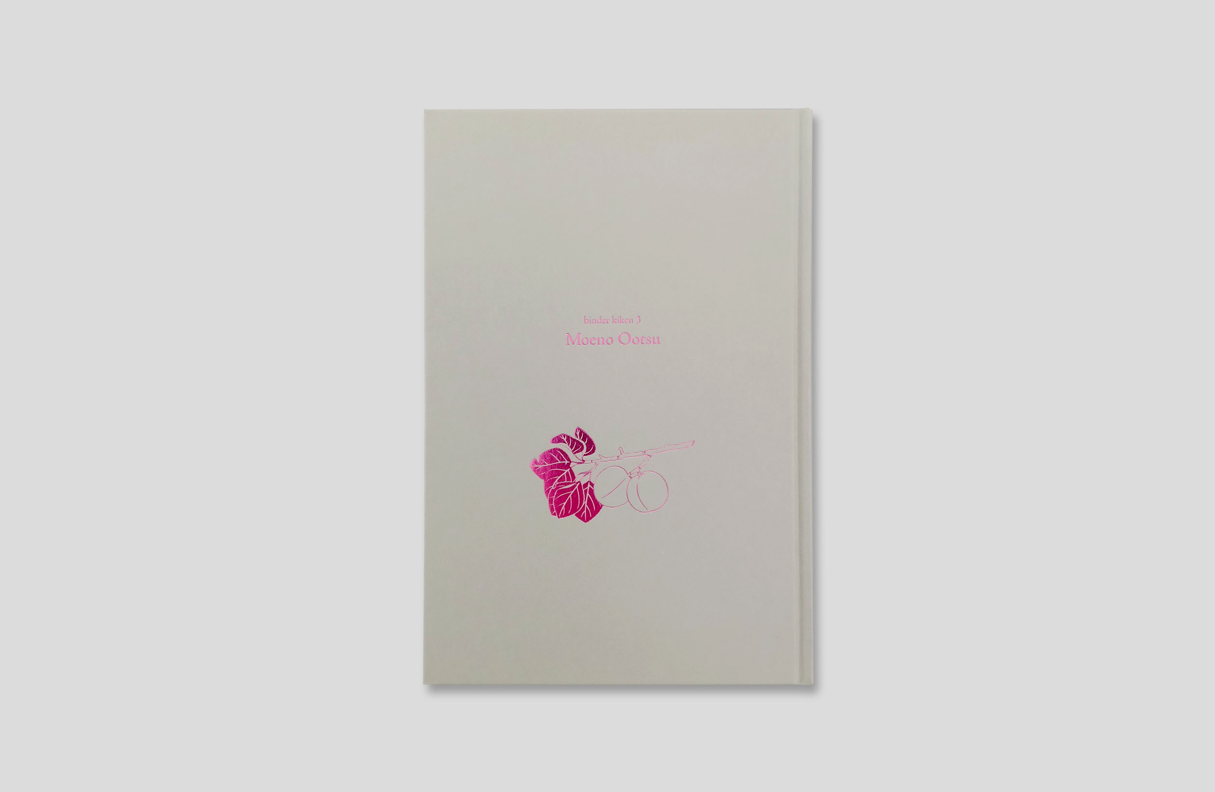 binder kiken 3 Moeno Ootsu